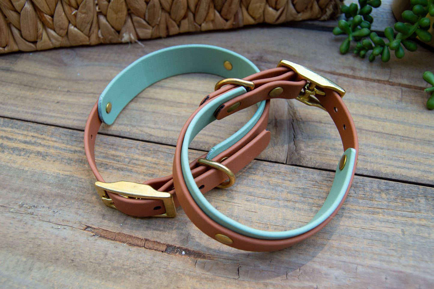 RTS: Caramel and Sage Mini Double Layer Biothane Dog Collar