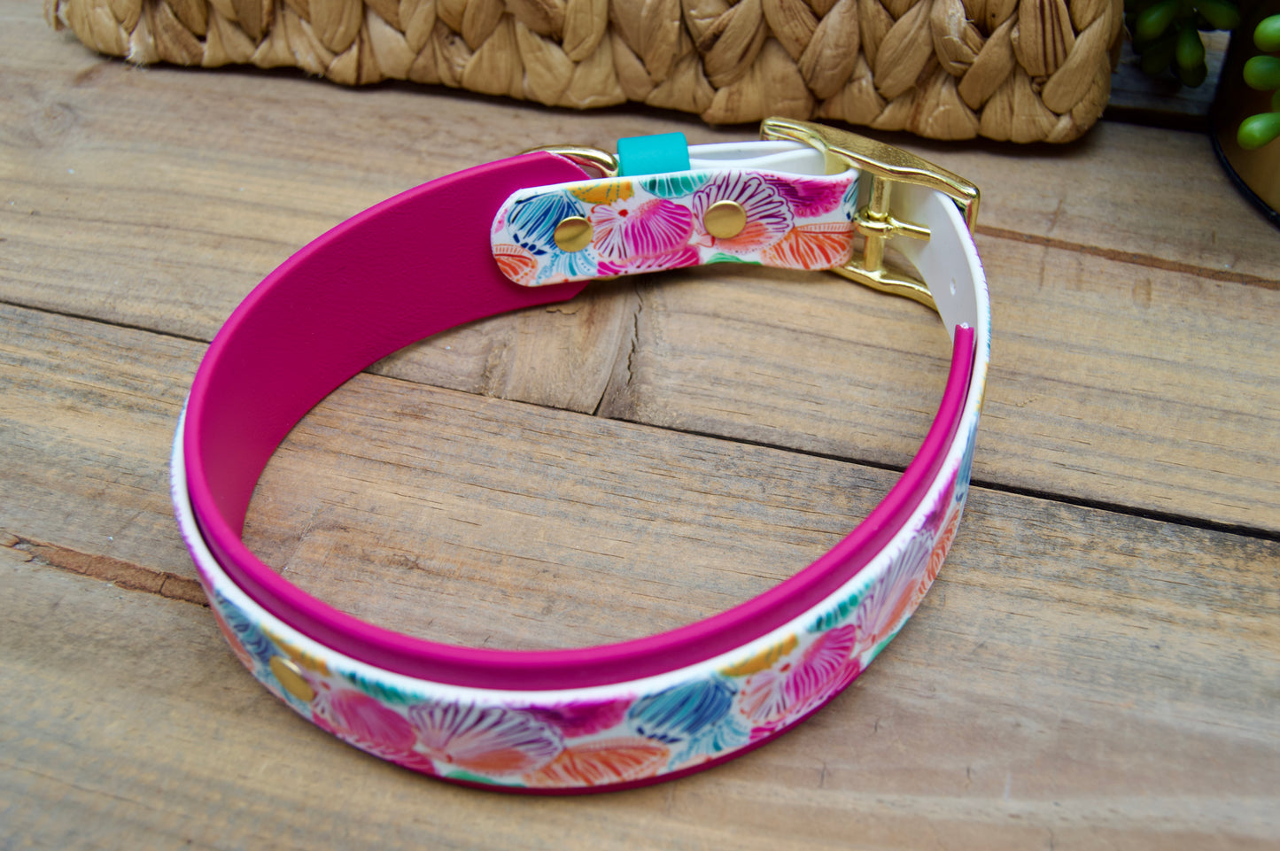 Seashells: Printed Double Layer Biothane Dog Collar