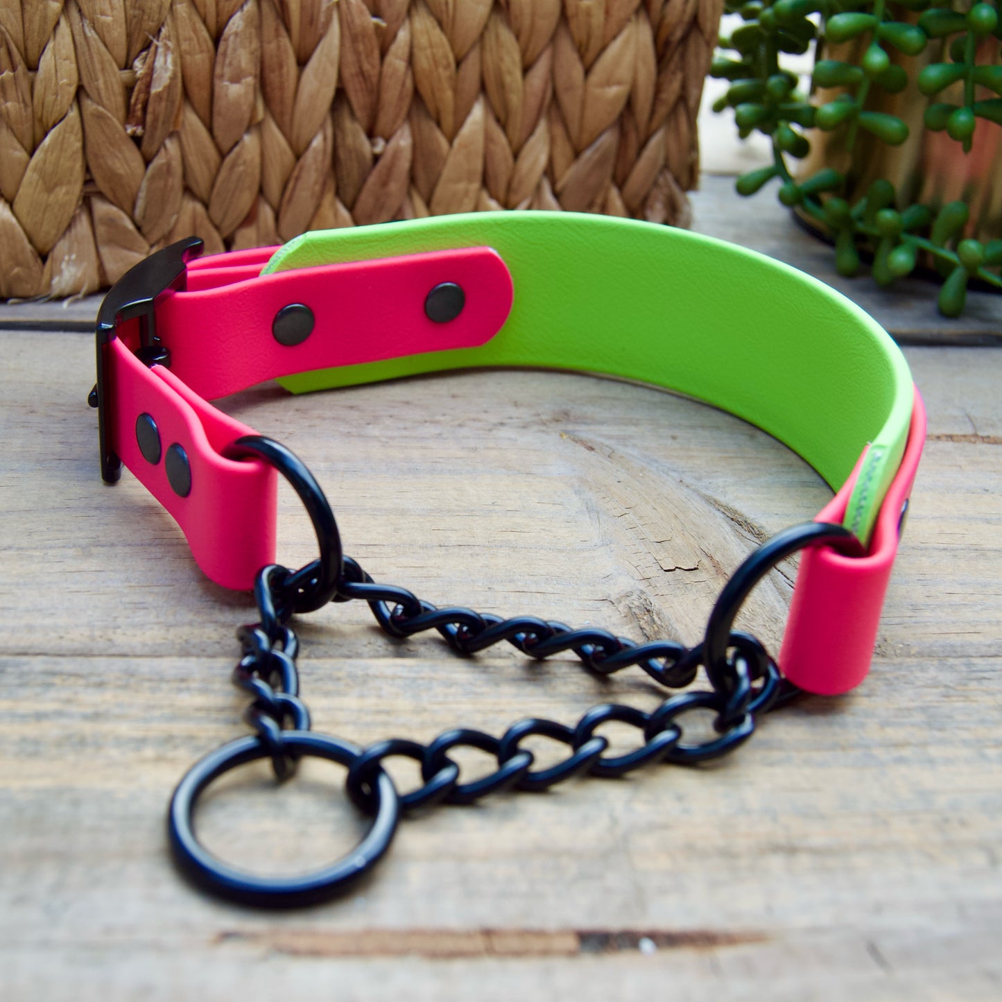 Adjustable Martingale Biothane Dog Collar