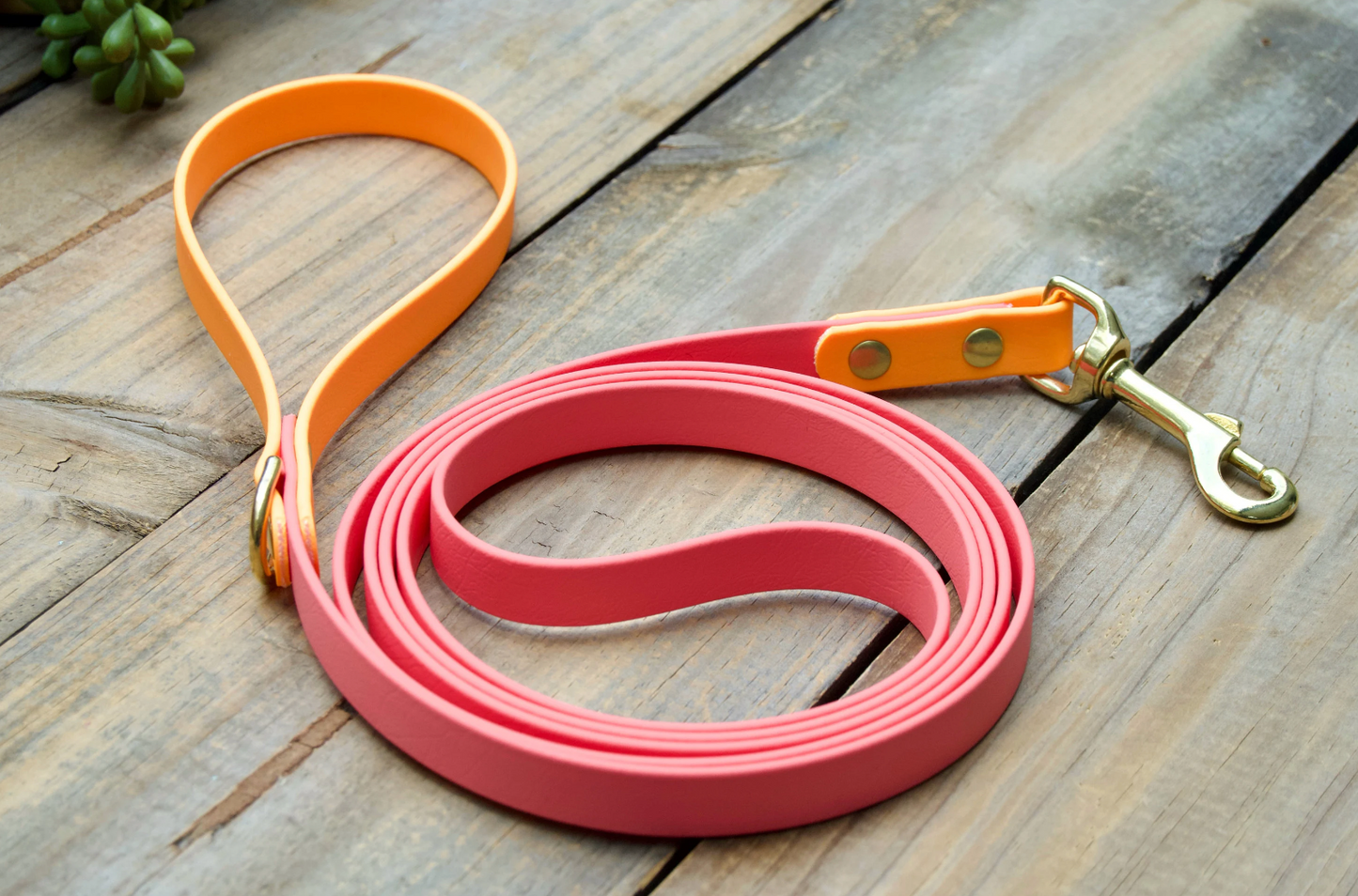 Bundle of Two Color Tapered Martingale Biothane Dog Collar and Leash