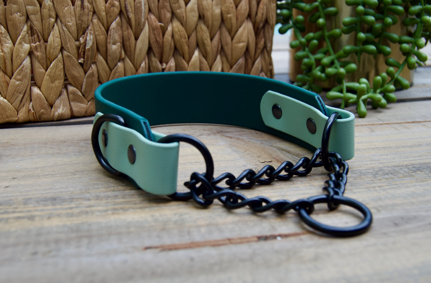 Two Color 1.5 INCH Tapered Martingale Biothane Dog Collar