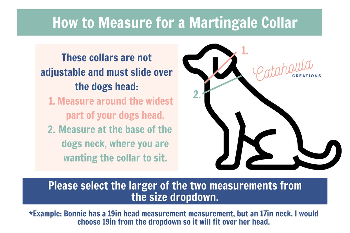 Fern 1.5 INCH Tapered Martingale Biothane Dog Collar