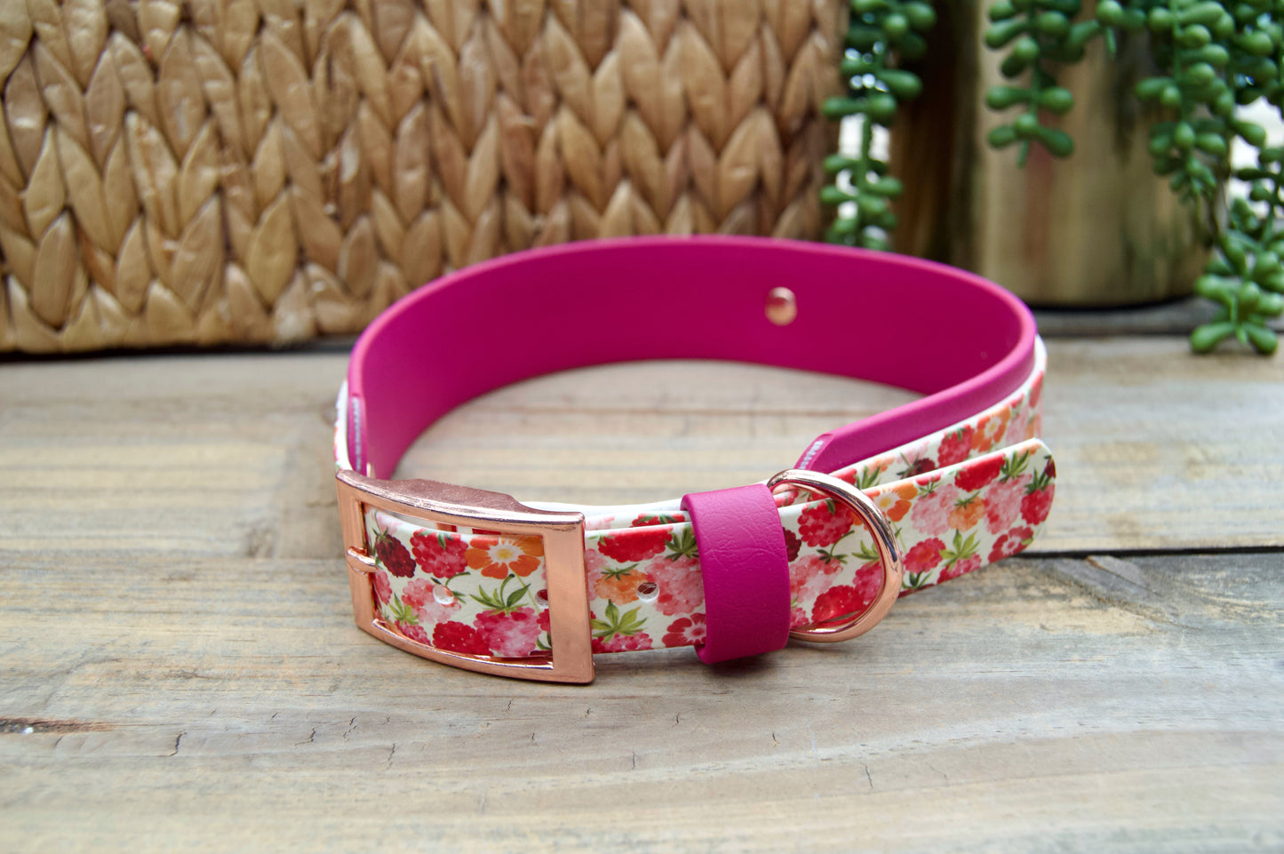 raspberry patterned dog collar with magenta accents on a wooden surface