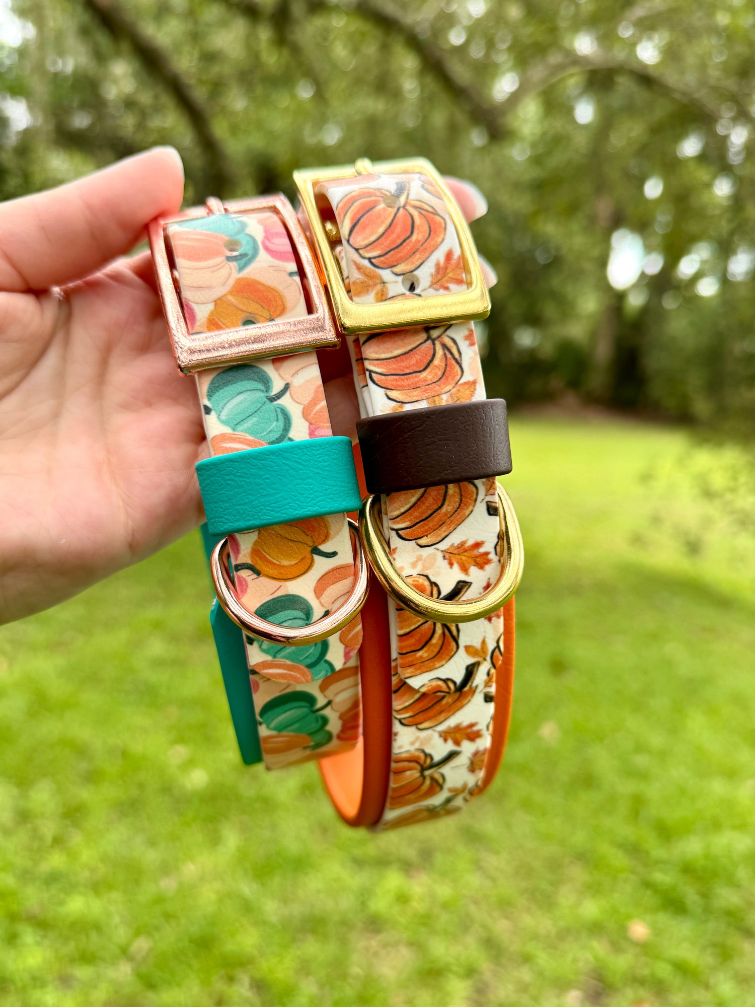 🍁🎃Fall and Halloween Dog Collar and Apparel Collection
