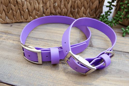 RTS: Classic 1IN Amethyst Biothane Dog Collar