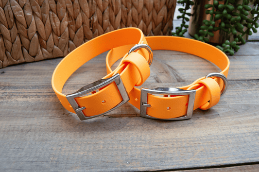 RTS: Classic 1IN Tangerine Biothane Dog Collar