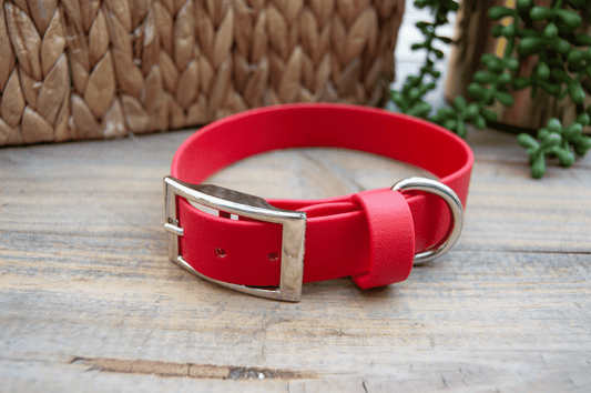 RTS: 13-16Inches Classic 1IN Red Biothane Dog Collar