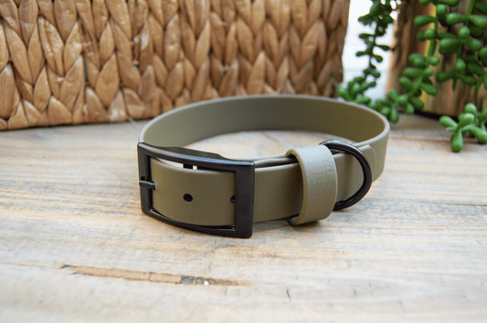 RTS: 13-16 Inches Classic 1IN Olive Biothane Dog Collar