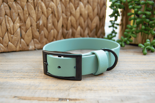 RTS: 13-16 Inches Classic 1IN Sage Biothane Dog Collar