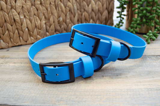 RTS: Classic 1IN Blue Biothane Dog Collar