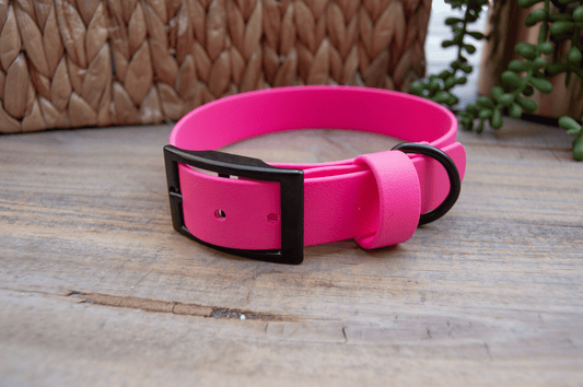 RTS: 13-16 Inches Classic 1IN Raspberry Biothane Dog Collar