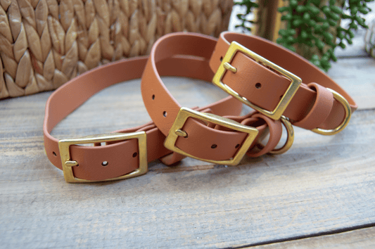 RTS: Classic 1IN Caramel Biothane Dog Collar