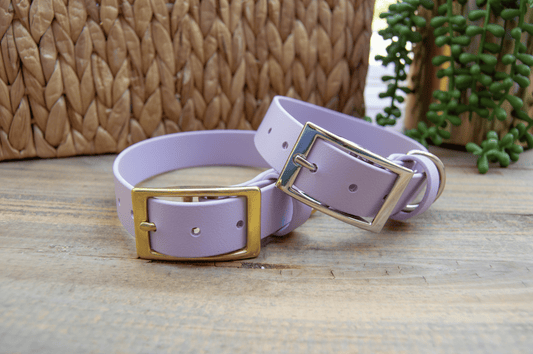 RTS: Classic 1IN Lilac Biothane Dog Collar