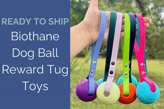 RTS: Biothane Dog Ball Reward Toys