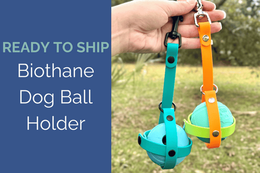 RTS: Biothane Dog Ball Holder