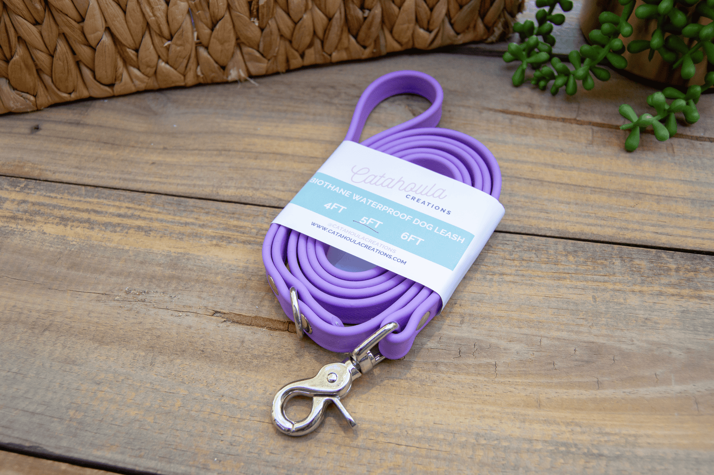 RTS: Single Color Biothane Dog Leash