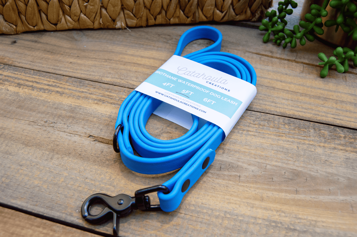 RTS: Single Color Biothane Dog Leash