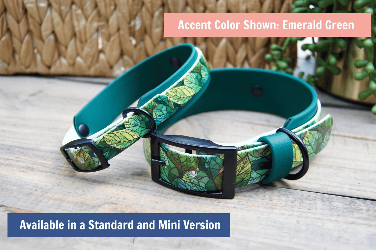 Stained Glass Leaves: Printed Double Layer Biothane Dog Collar