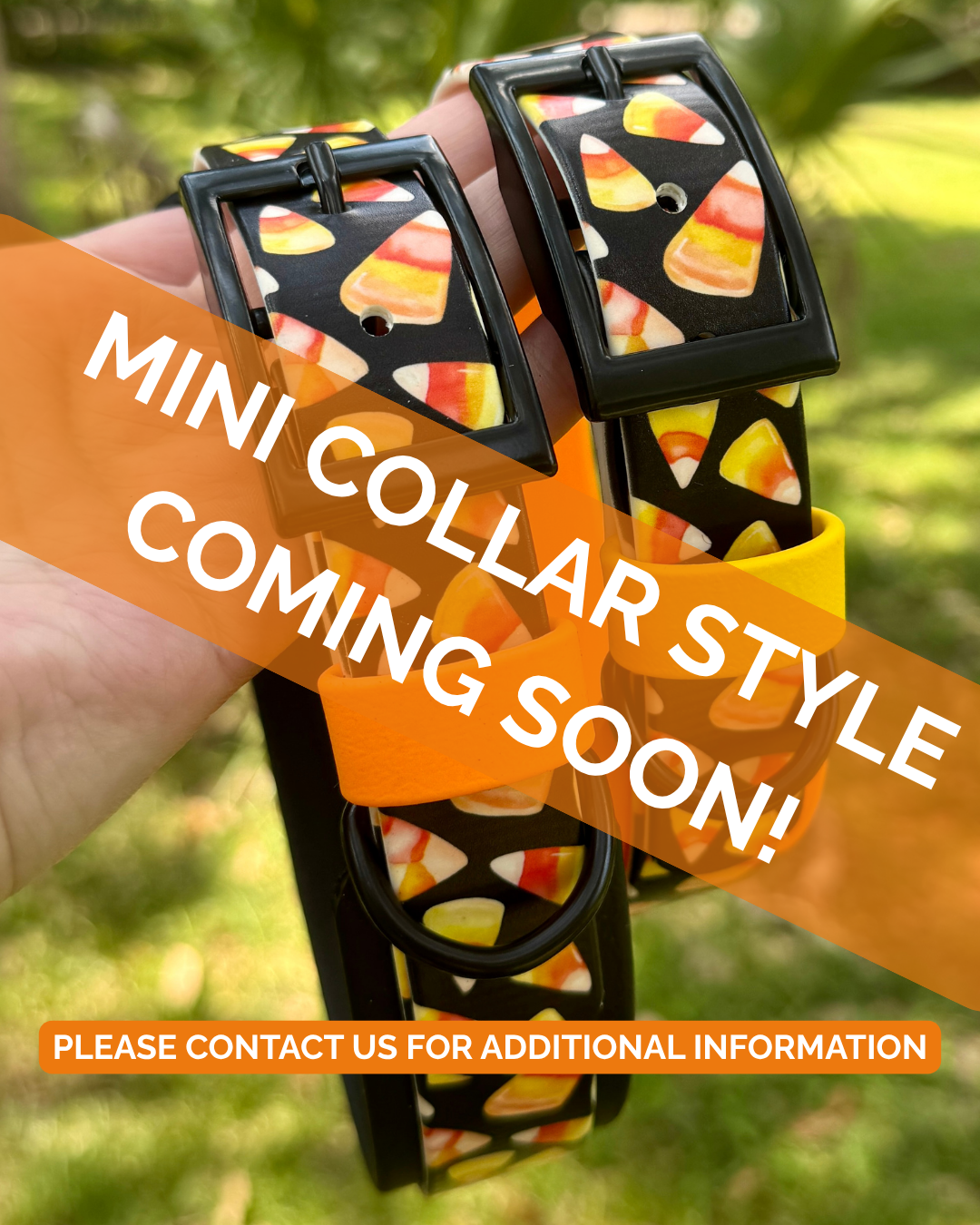 Candy Corn: Mini Printed Double Layer Biothane Dog Collar
