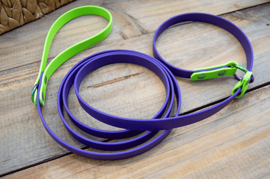 RTS: 6FT Purple and Lime Biothane Slip Leash