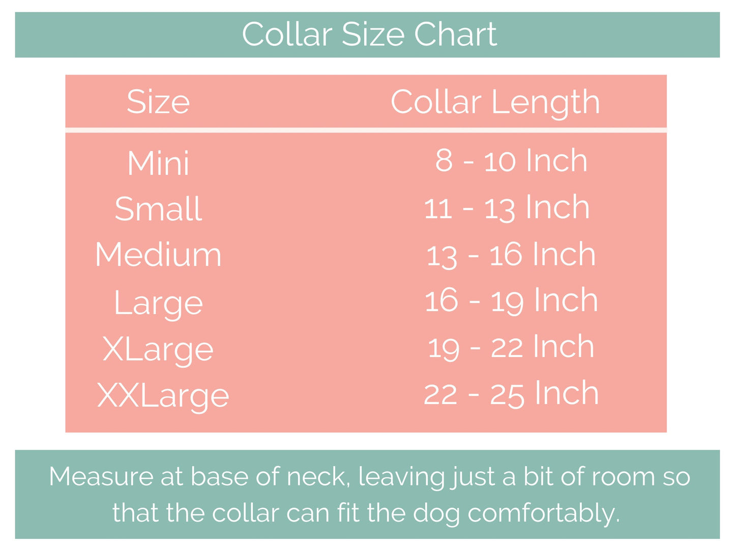 Palm Trees: Printed Double Layer Biothane Dog Collar