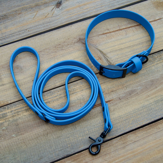 Blue Biothane Dog leash and Collar Set