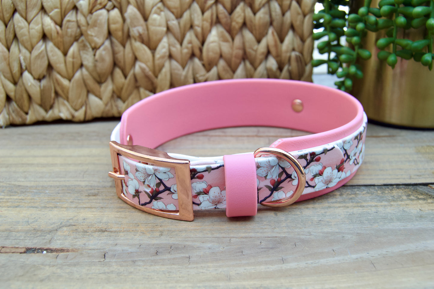 cherry blossom patterned biothane dog collar with pastel pink accents on a wooden surface