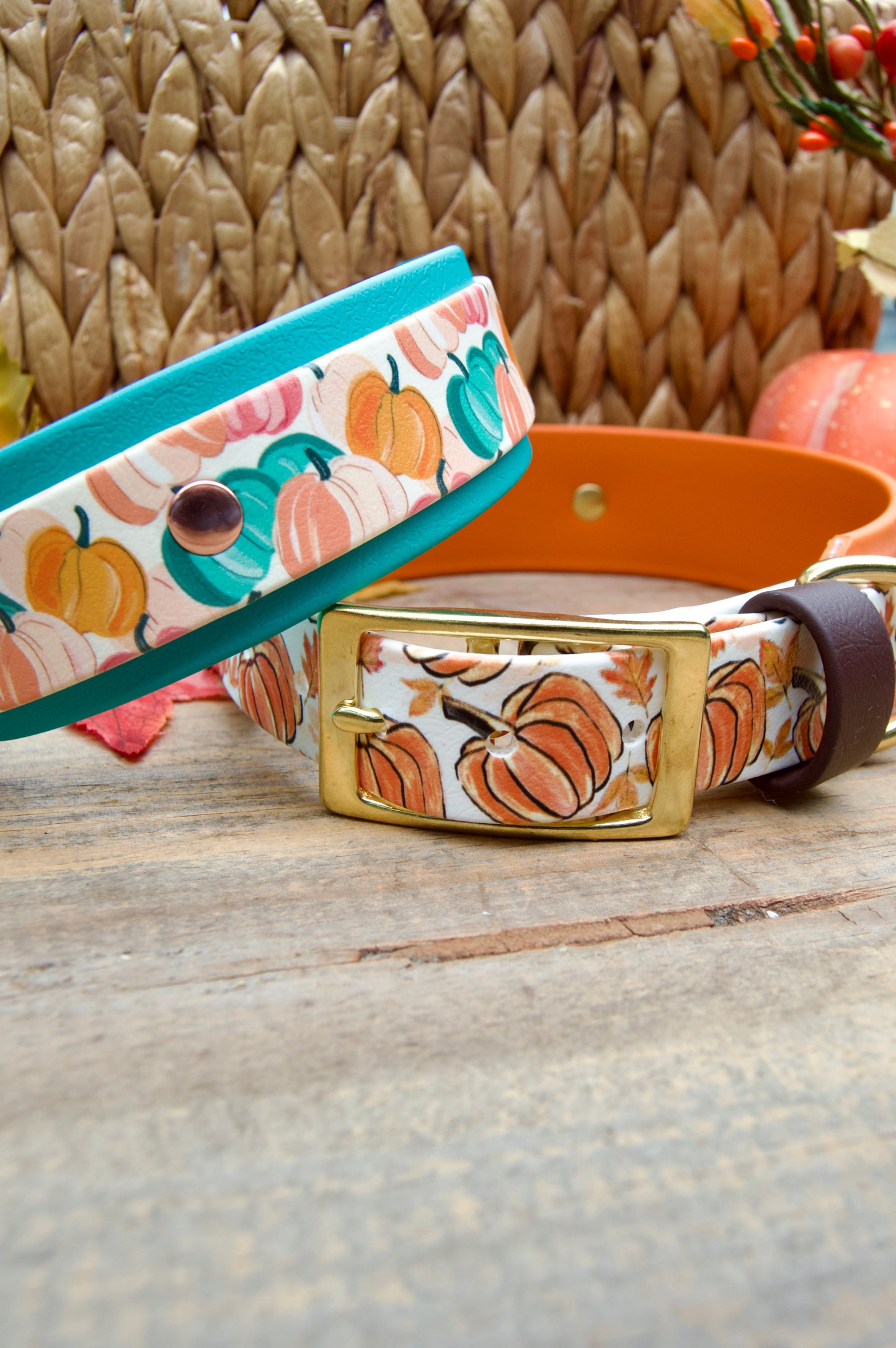 Two pumpkin dog collars stacked with wood background