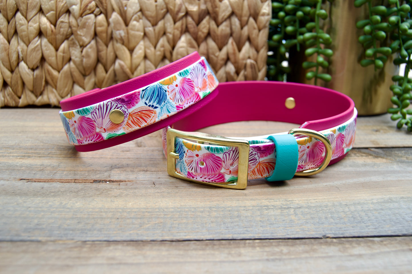 Seashells: Printed Double Layer Biothane Dog Collar