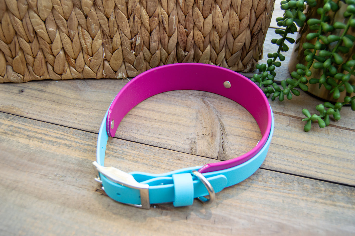 RTS: 18-22 Inches Magenta and Baby Blue Double Layer Biothane Dog Collar