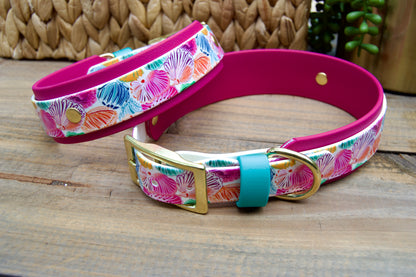 Seashells: Printed Double Layer Biothane Dog Collar