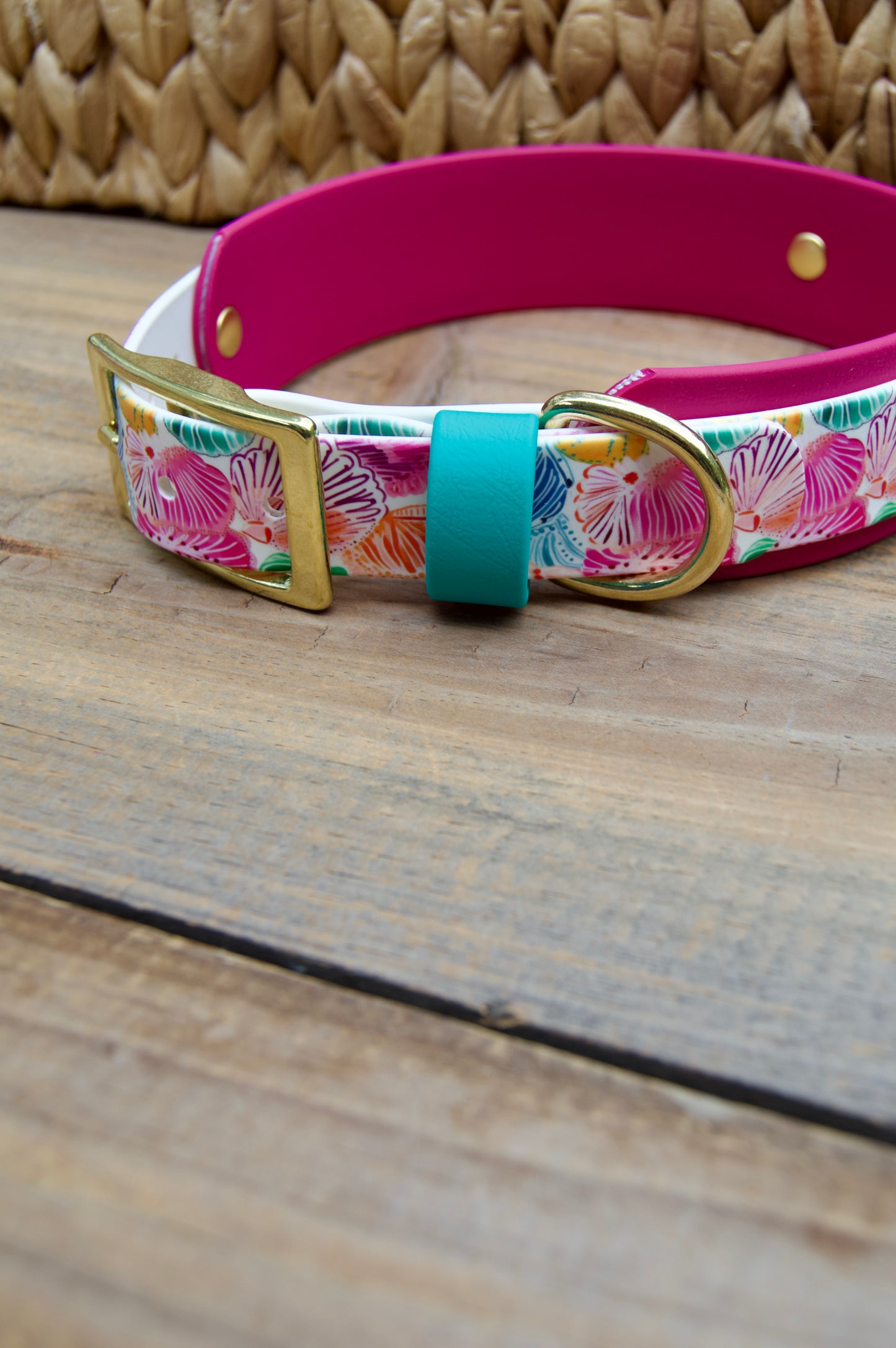 Seashells: Printed Double Layer Biothane Dog Collar