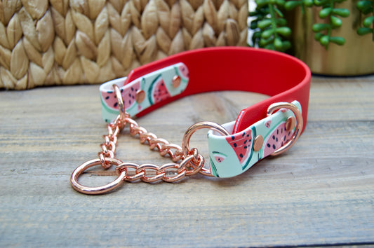 Watermelon 1.5 INCH Tapered Martingale Biothane Dog Collar