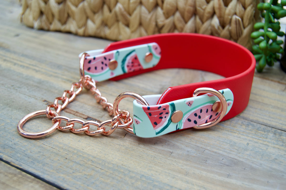 Watermelon 1.5 INCH Tapered Martingale Biothane Dog Collar