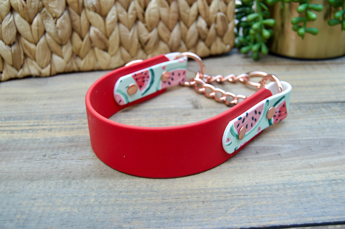 Watermelon 1.5 INCH Tapered Martingale Biothane Dog Collar