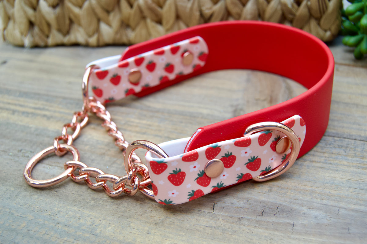 Strawberry 1.5 INCH Tapered Martingale Biothane Dog Collar