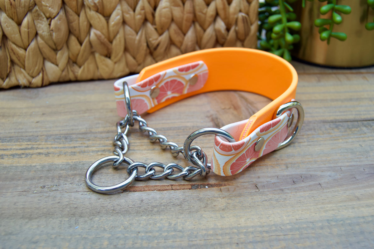 Grapefruit 1.5 INCH Tapered Martingale Biothane Dog Collar