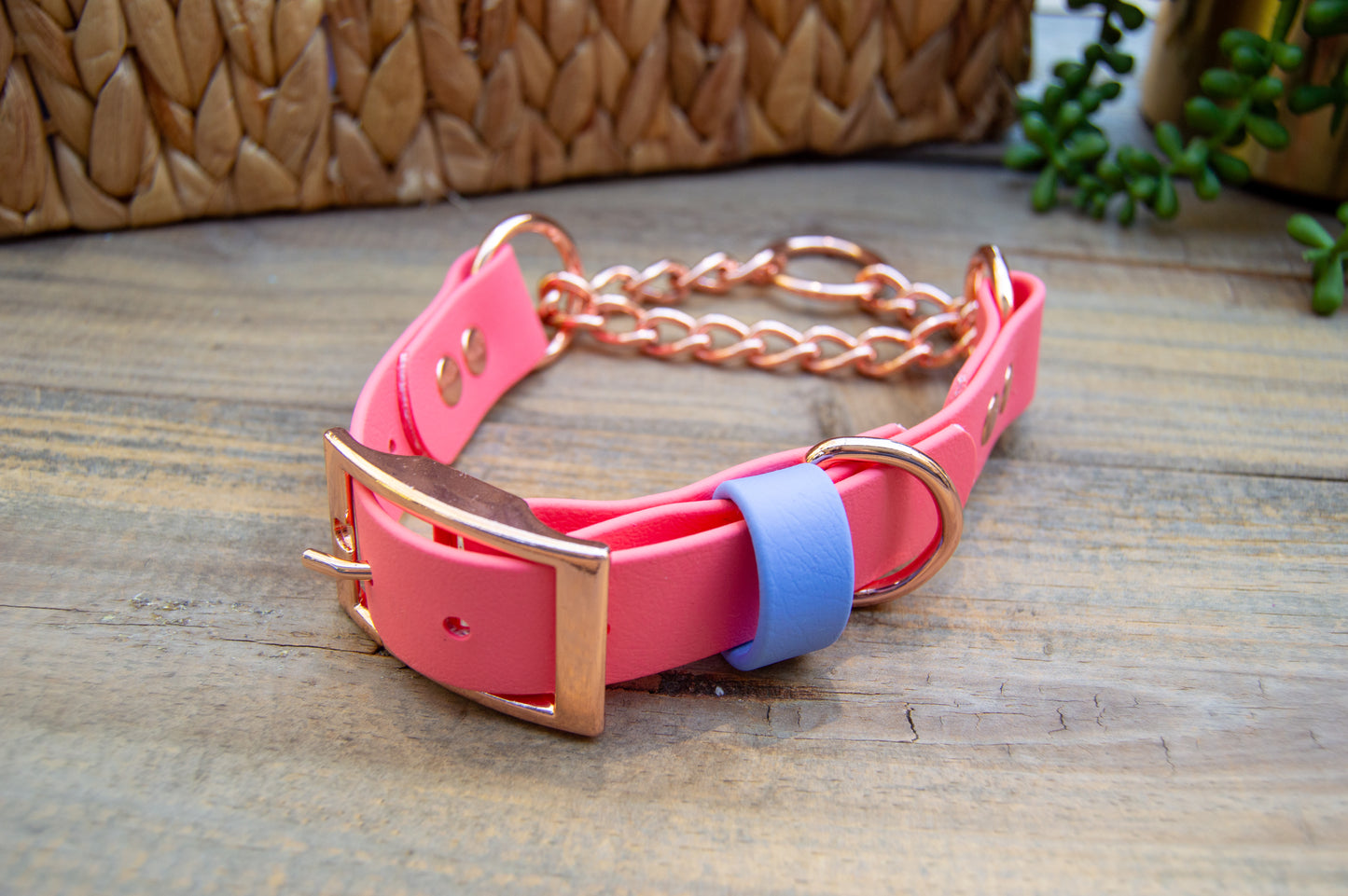 RTS: 13-16 Inches Coral Chain Martingale Biothane Dog Collar