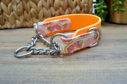 Grapefruit 1.5 INCH Tapered Martingale Biothane Dog Collar