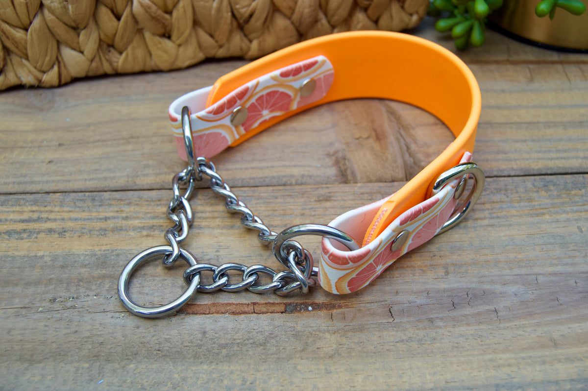 Grapefruit 1.5 INCH Tapered Martingale Biothane Dog Collar