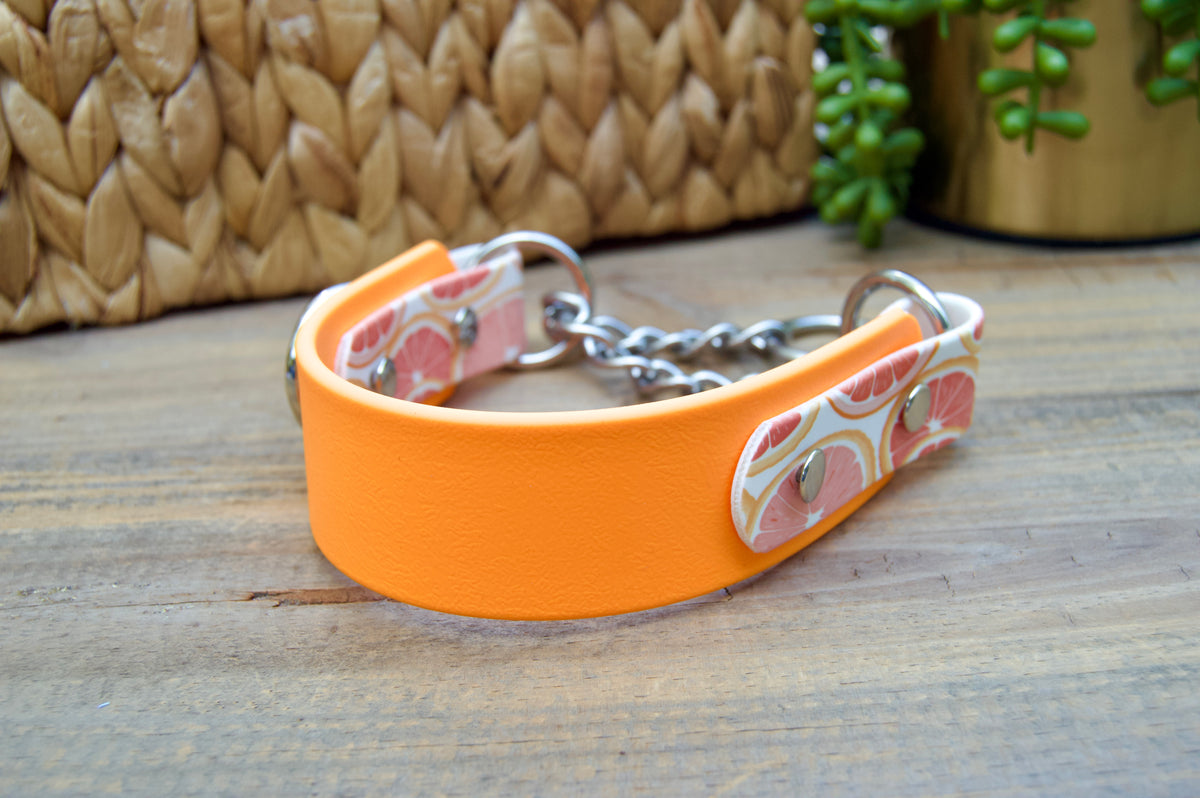 Grapefruit 1.5 INCH Tapered Martingale Biothane Dog Collar