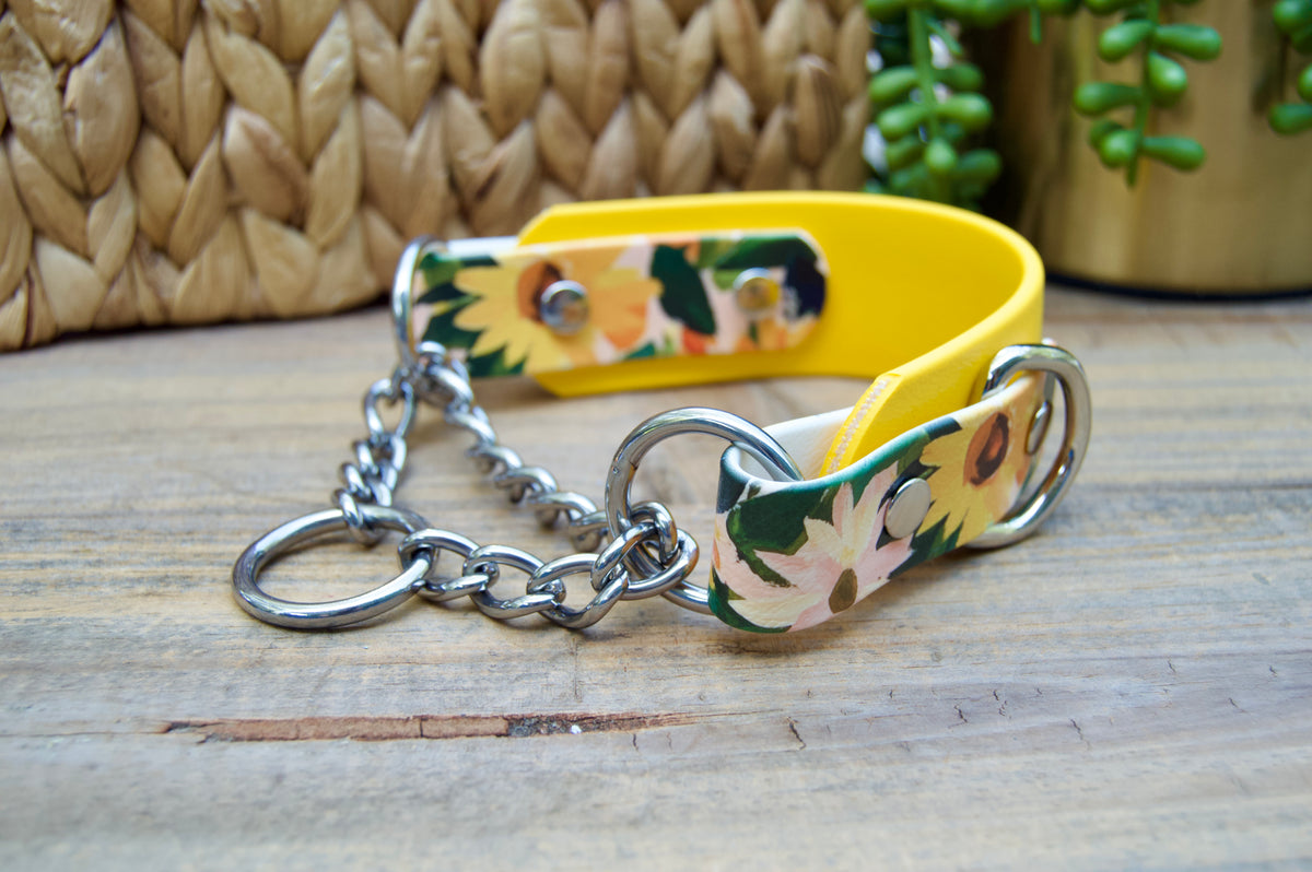 Sunflower 1.5 INCH Tapered Martingale Biothane Dog Collar