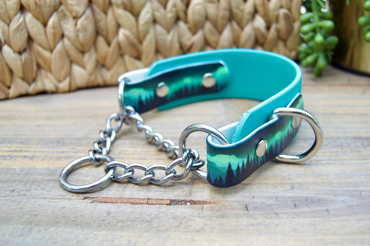 Northern Lights 1.5 INCH Tapered Martingale Biothane Dog Collar