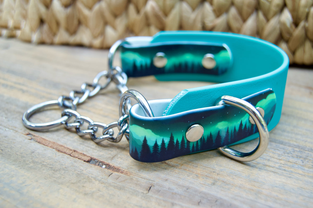 Northern Lights 1.5 INCH Tapered Martingale Biothane Dog Collar