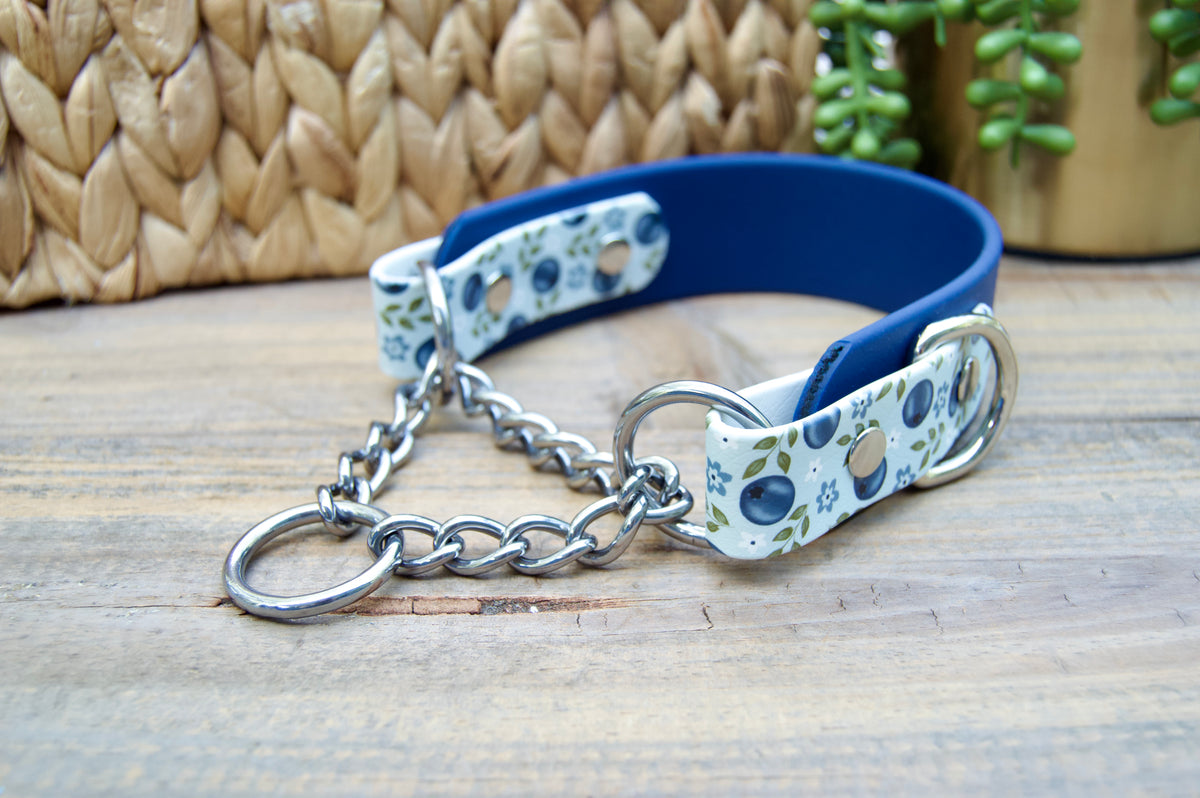 Blueberry 1.5 INCH Tapered Martingale Biothane Dog Collar