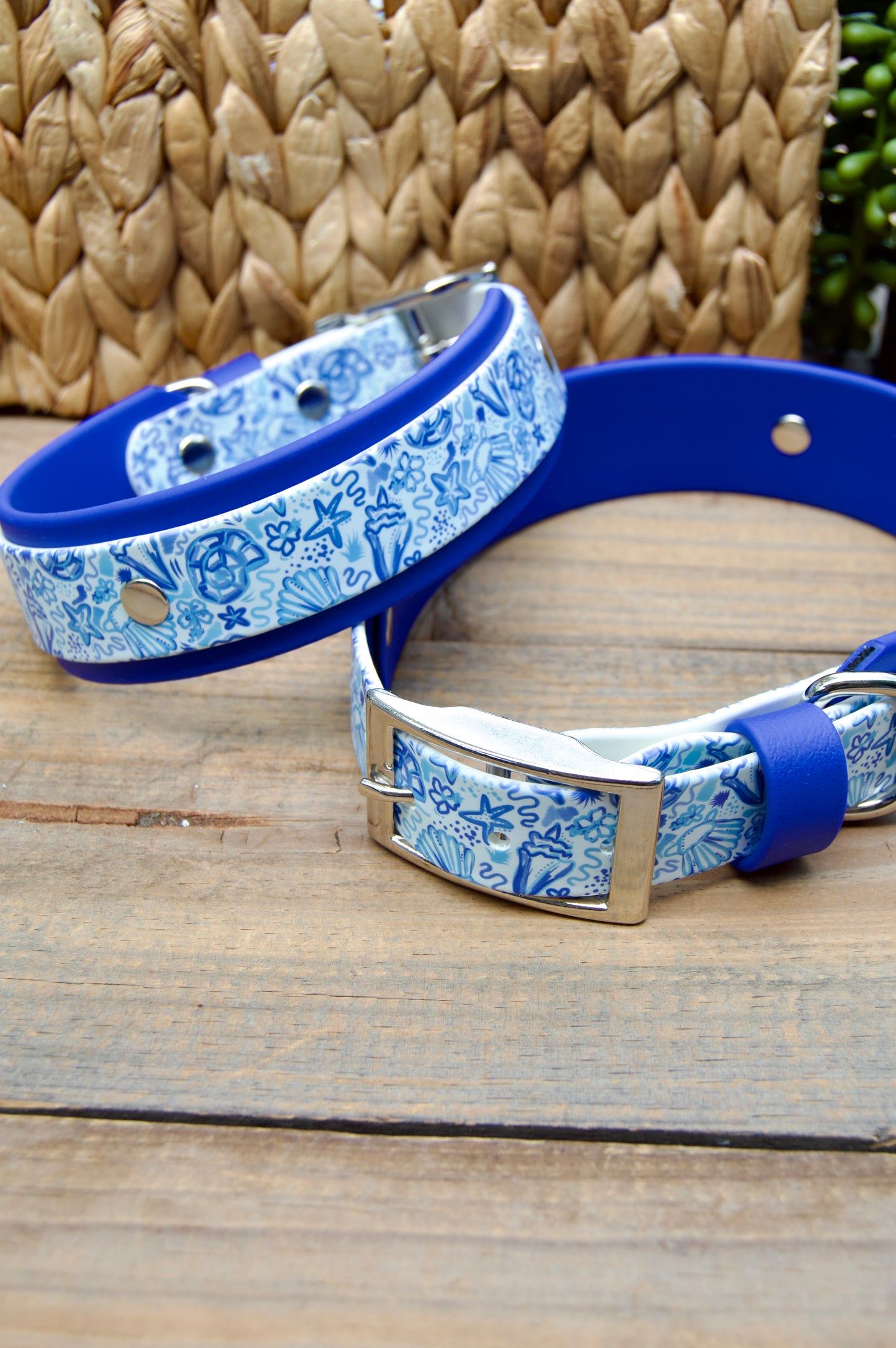 Blue Shells: Printed Double Layer Biothane Dog Collar