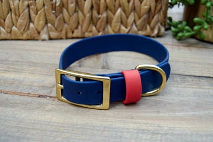 RTS 1 Inch Classic Biothane Dog Collar