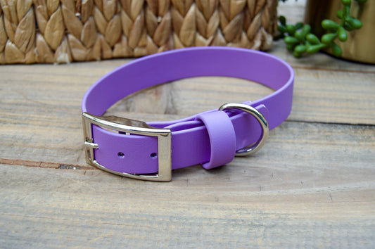 RTS 19-22 INCH 1 Inch Amethyst Classic Biothane Dog Collar