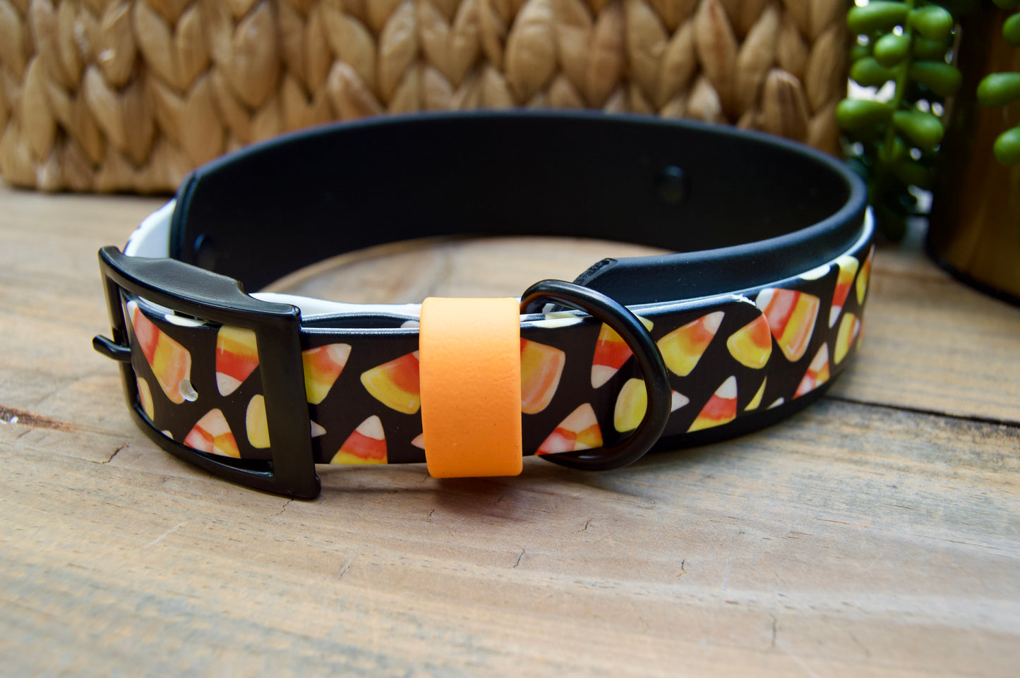 Candy Corn: Printed Double Layer Biothane Dog Collar