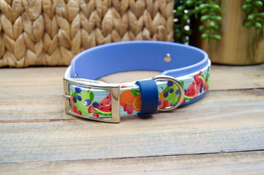 Fruit Salad: Printed Double Layer Biothane Dog Collar